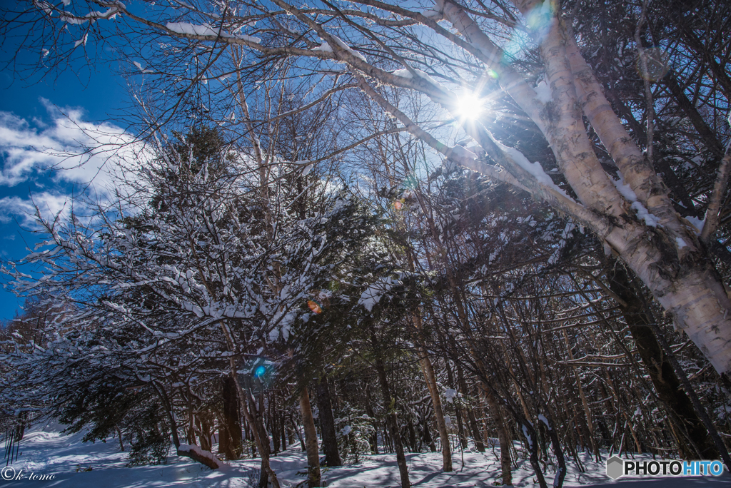 雪山にて