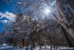 雪山にて