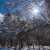 雪山にて