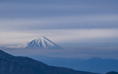 fuji