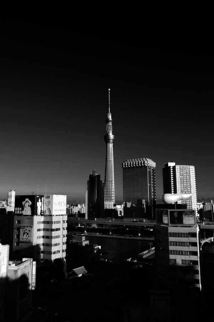 ツリー
