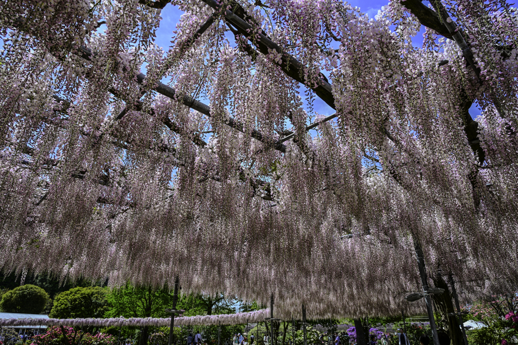 晴れやかな空