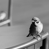 椅子の上で