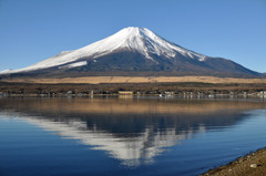 DSC_0037_edited-1