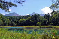 五色沼４
