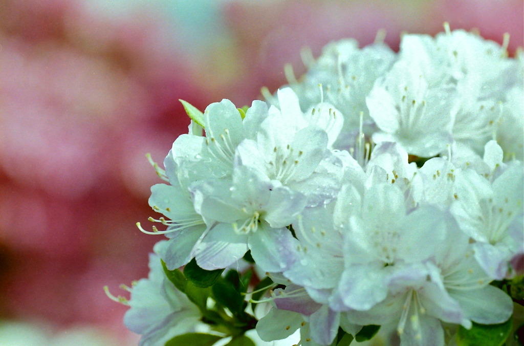 PICT0006