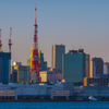 言わずと知れた東京のシンボル
