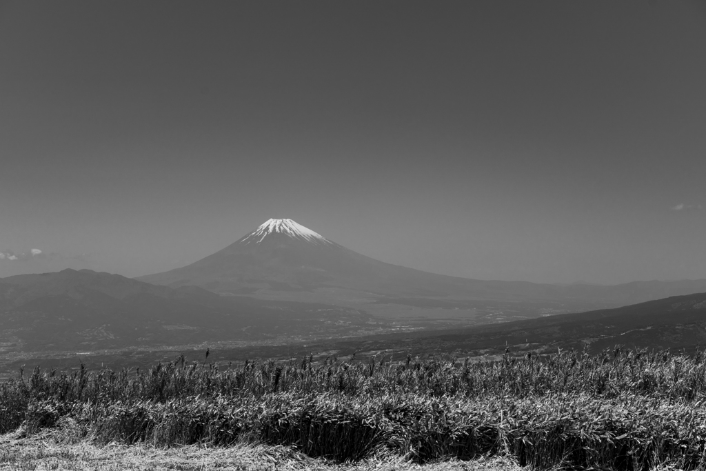 玄岳からの富士４