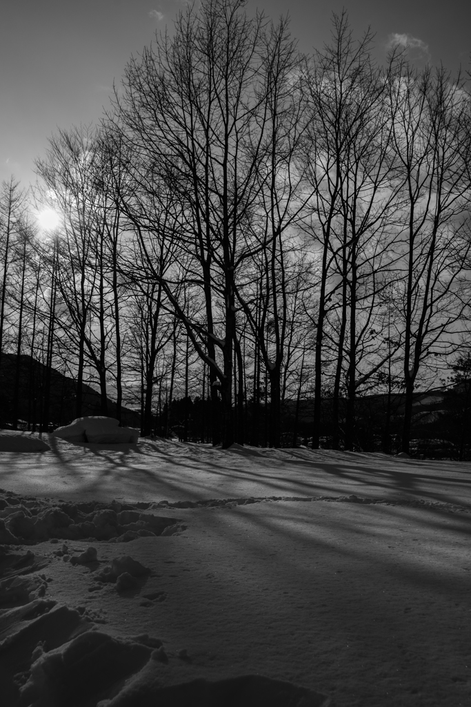 寒冷雪景色