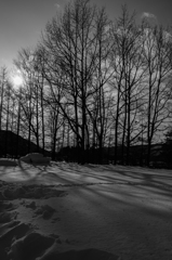 寒冷雪景色