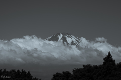 MOKUMOKU