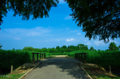 水元公園にて