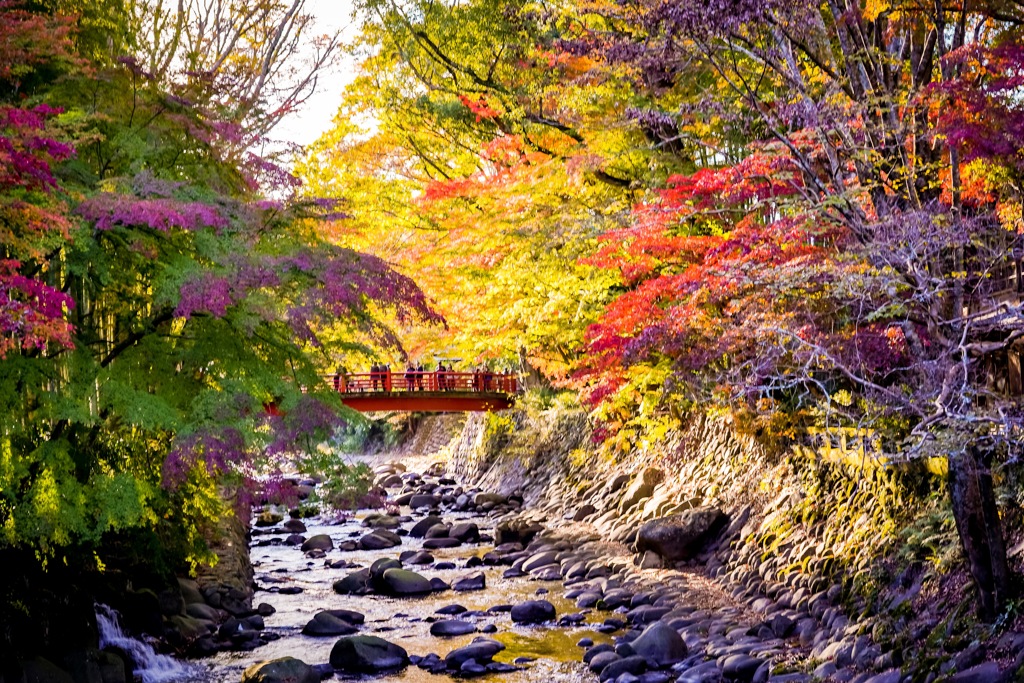 修善寺の紅葉