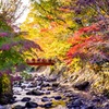 修善寺の紅葉