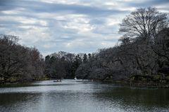 冬の公園