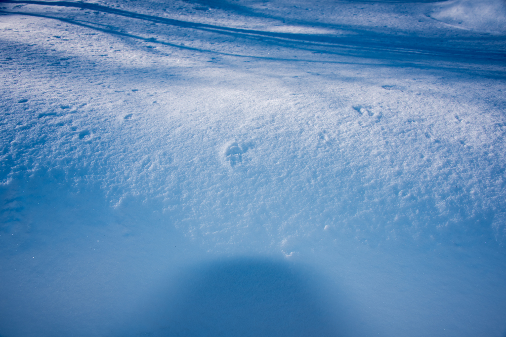 雪