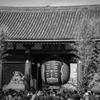 2015新年浅草ツアー①