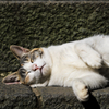 眠るだけ１