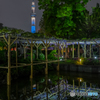亀戸神社の藤祭２