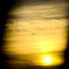 空を飛んで