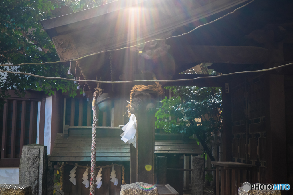 近所の神社