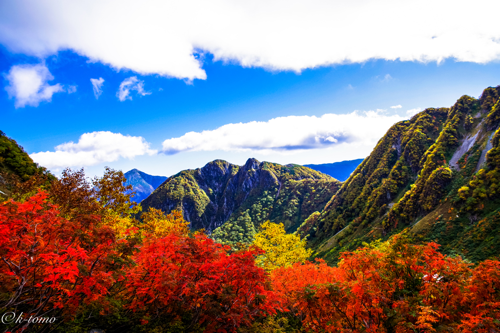 涸沢の紅葉