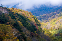 東沢大橋にて