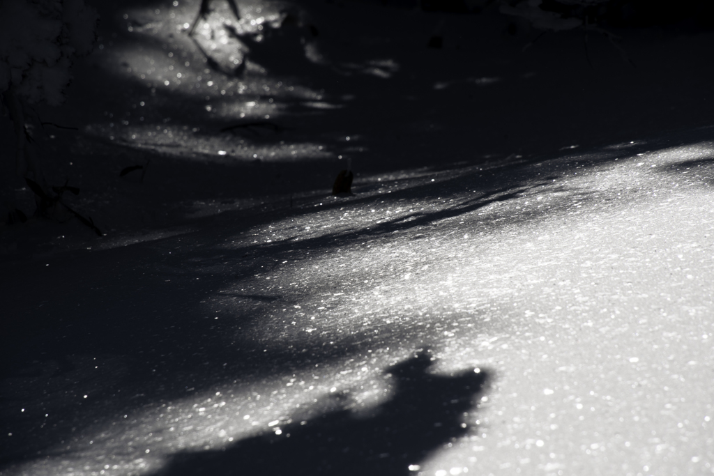 雪上の光