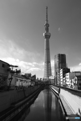 東京の冬空