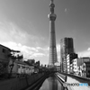 東京の冬空