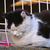 寒さ耐え忍ぶ