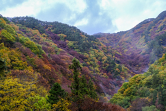 里山にて