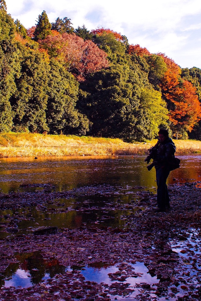 趣味の世界に没頭