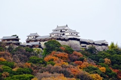 松山城アップ