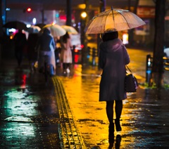 雨道