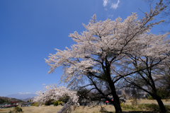 八ヶ岳を望む