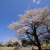 八ヶ岳を望む