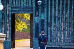 護衛隊の報・連・（相）