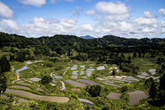 棚田