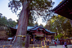 富士浅間神社