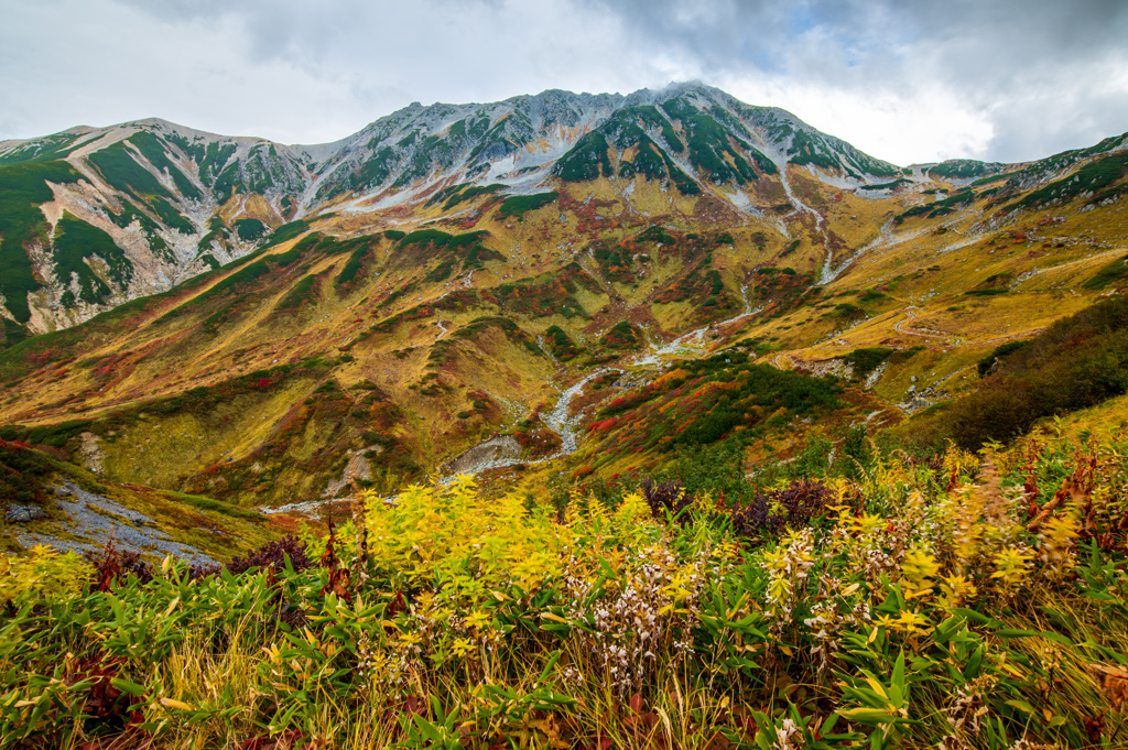 雄山