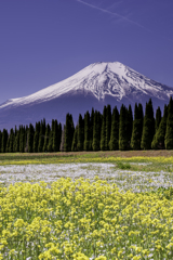 250427_富士山4