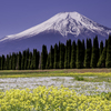 250427_富士山4