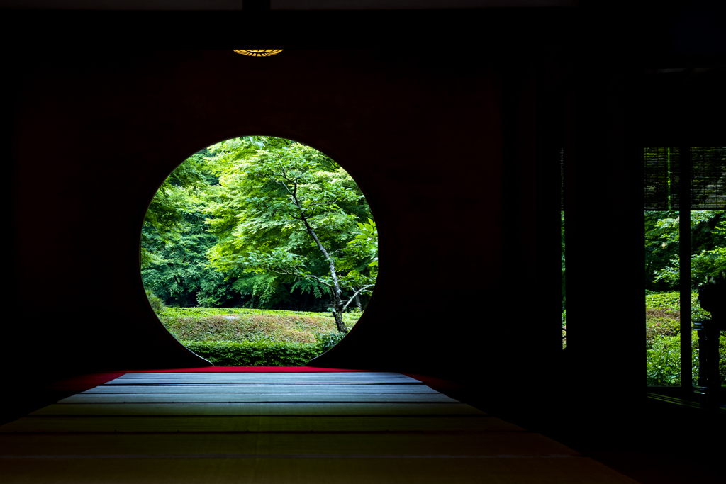 新緑の院