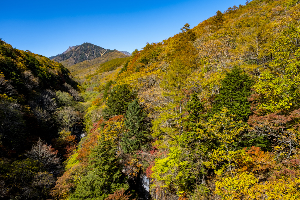 南八ヶ岳の紅葉S