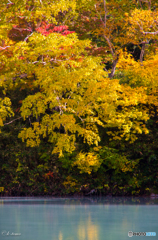 地獄沼の紅葉Ⅱ