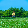 爽やかな景色＿公園にて