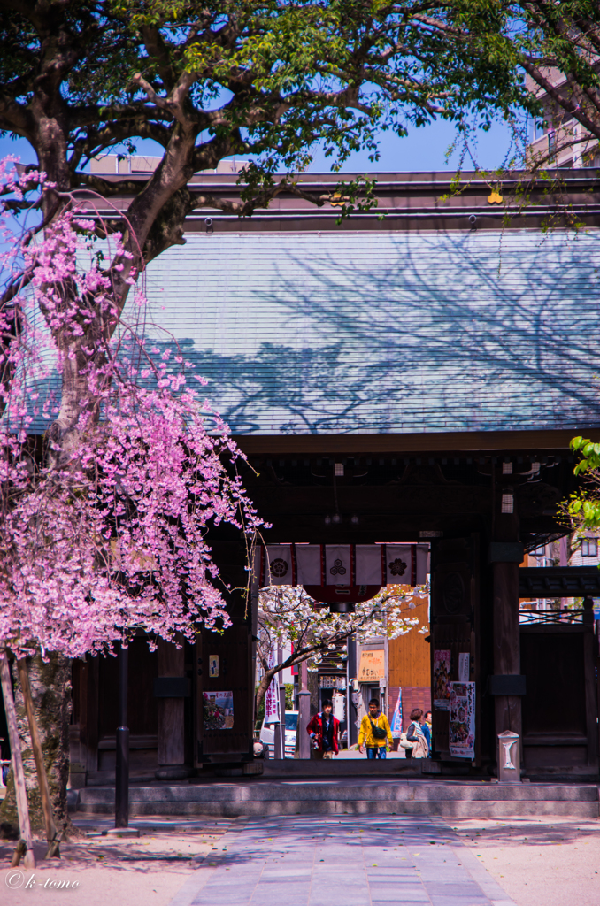 櫛田神社にて①