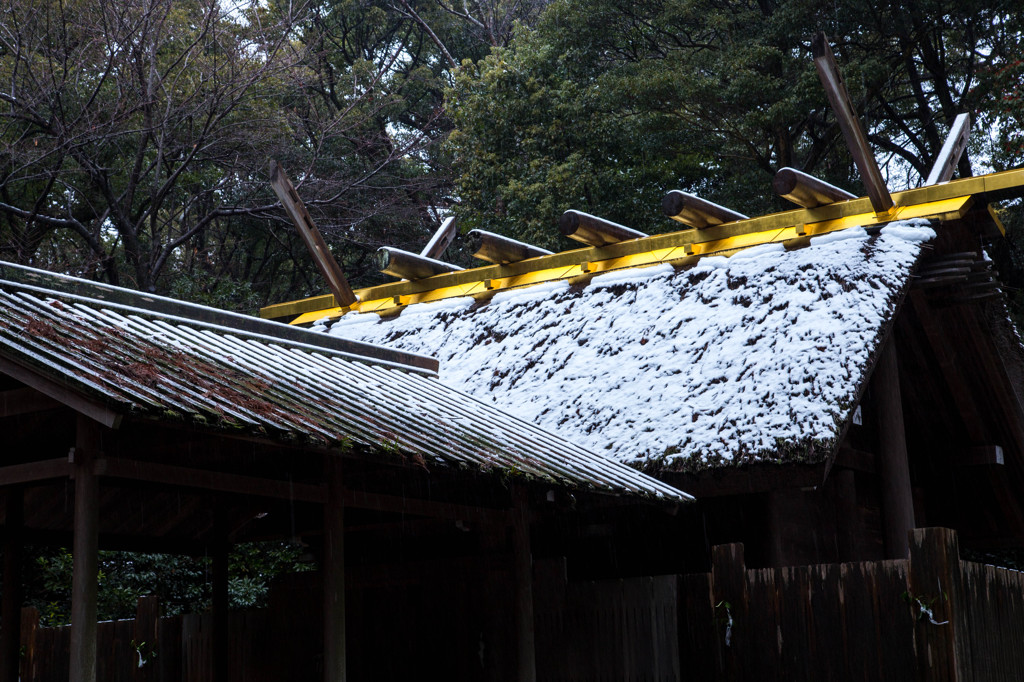 月夜見宮＿雪冠