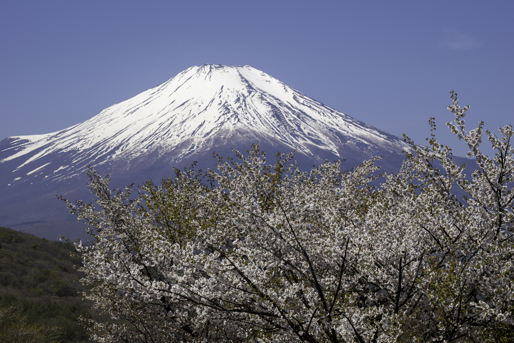 250427_富士山1